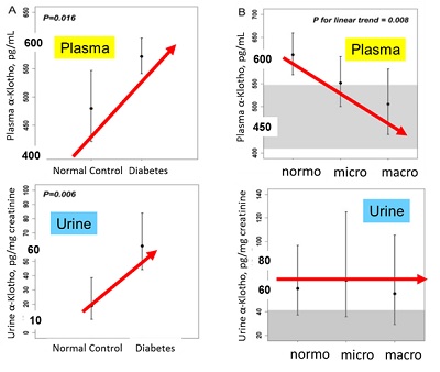 Werte alpha-Klotho bei Patienten mit Diabetes Typ II
