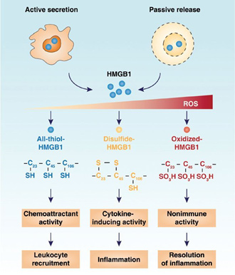 Redox Redox Redox Redox