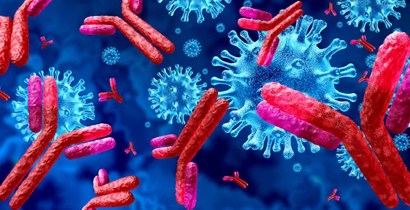 Antikörper für die Forschung im Online-Shop kaufen und bestellen